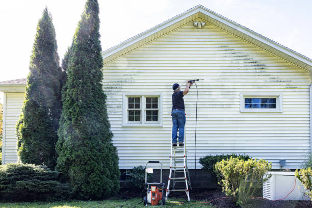 Best Driveway Pressure Washing  in Clifton, NJ